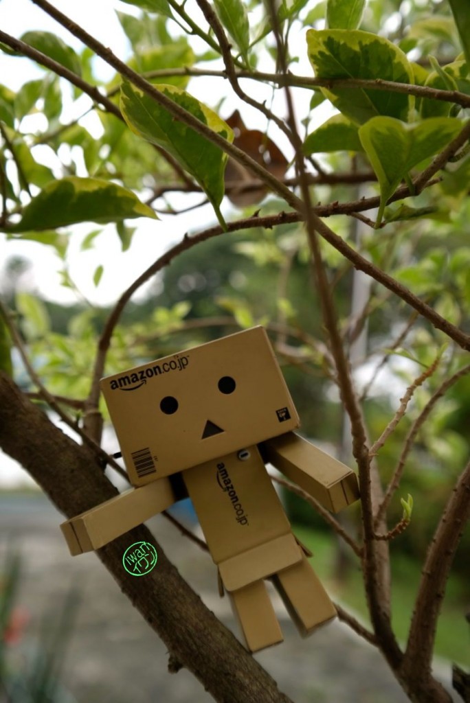 Days of Danboard. Photo by Junanto, taken with Samsung NX300