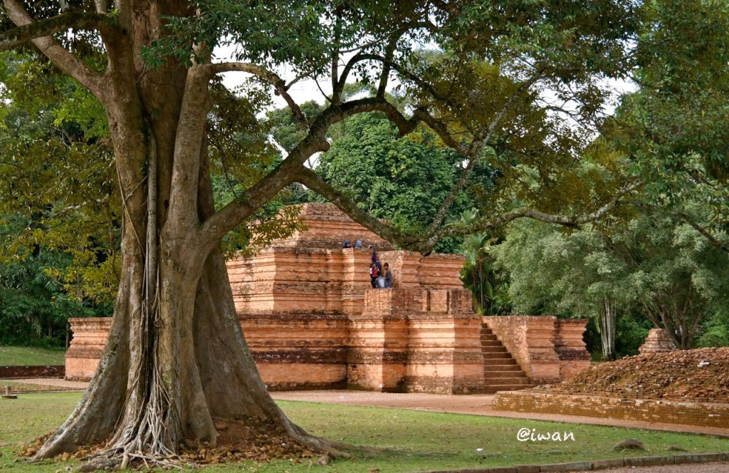 Situs Candi Muaro Jambi, dikelilingi pepohonan usia ratusan tahun / photo by Samsung NX300, Junanto