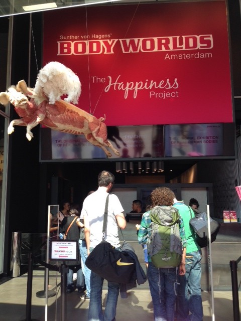 Anatomi Babi asli di pintu masuk Body Worlds Amsterdam / junanto