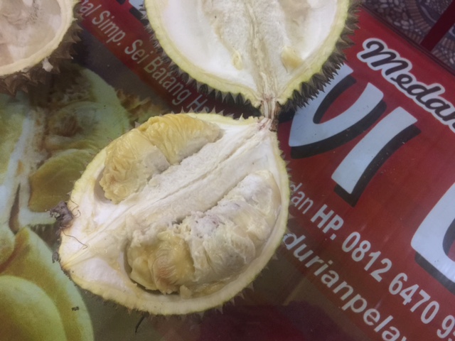 Durian Medan yang sensual dan menggemaskan